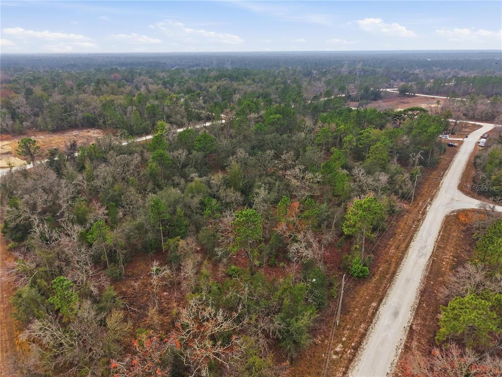 14080 Cagarro Road Brooksville, FL 34614 - Photo 2 of 9
