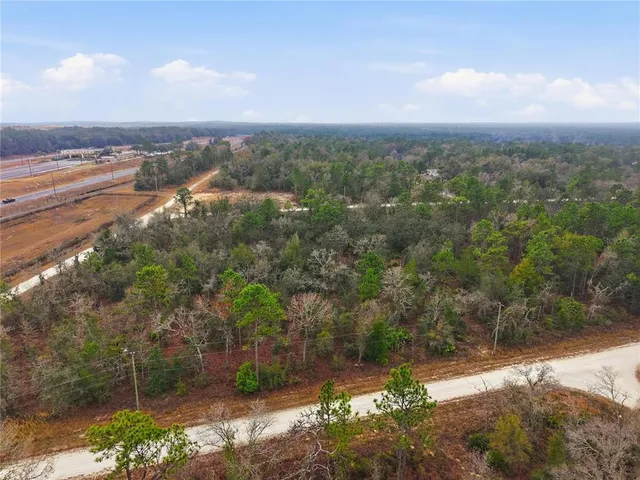 a view of a city with lots of trees
