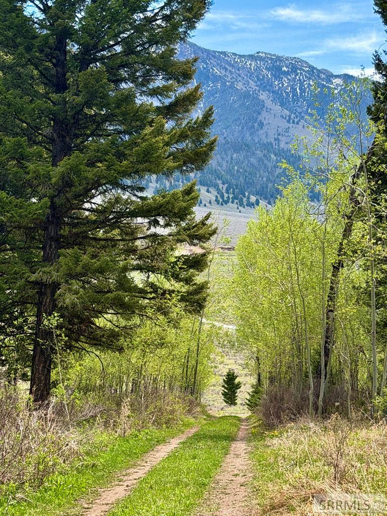 5611 2 Lazy 2 Road Island Park, ID 83429 - Photo 51 of 55