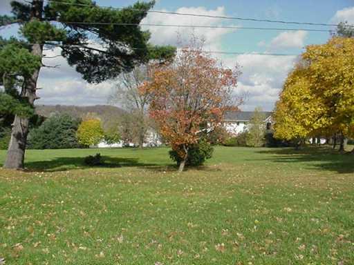 154 Lintner Road Blairsville, PA 15717 - Photo 3 of 8 Land.