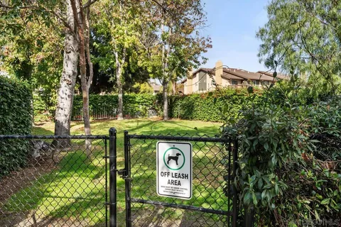 a view of a backyard with large trees