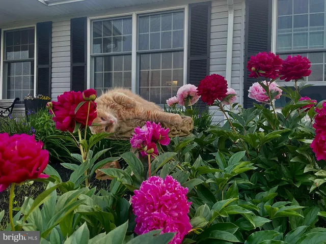 $794,000 | 908 Priestford Road, Darlington, MD 21034