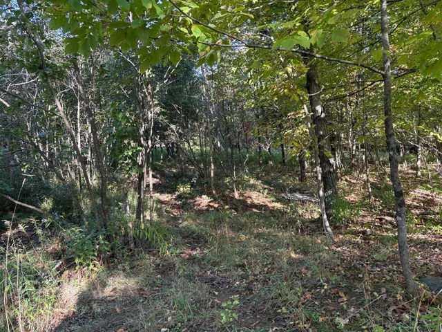 $44,000 | U03-68-c U03-68-c Tbd, Strong, ME 04983