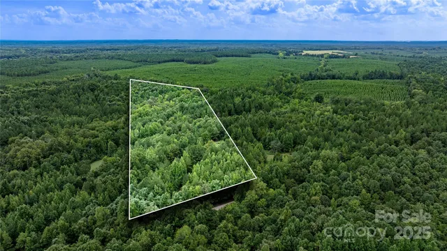 an aerial view of a yard