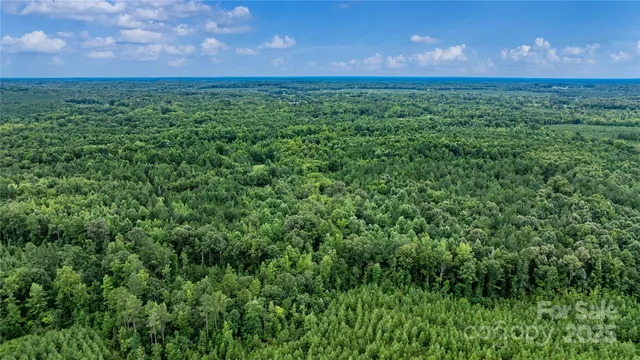 a view of a green field