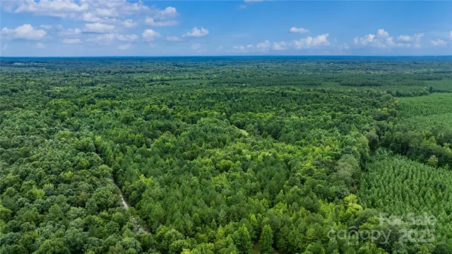 a view of a city with lush green forest