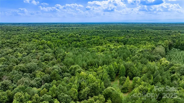 a view of a green field with lots of bushes