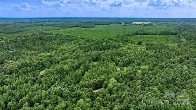 a view of a field with a field