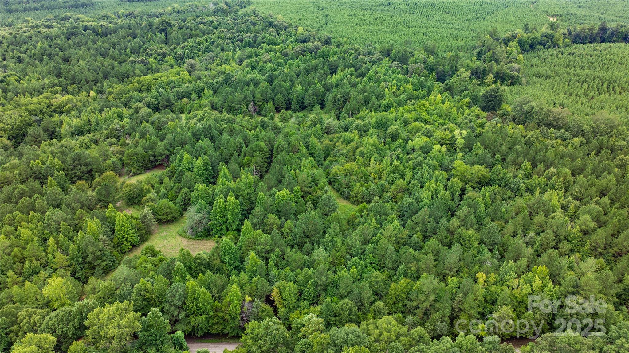 0 Daystar Road, Unit 13 Lancaster, SC 29720 - Photo 3 of 21 a view of a lush green forest