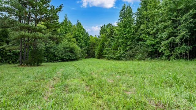 a view of a lush green space