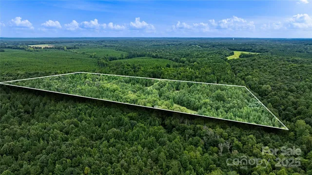 a view of a city with lush green forest