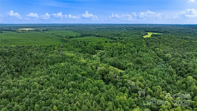 a view of a lush green forest with lots of trees