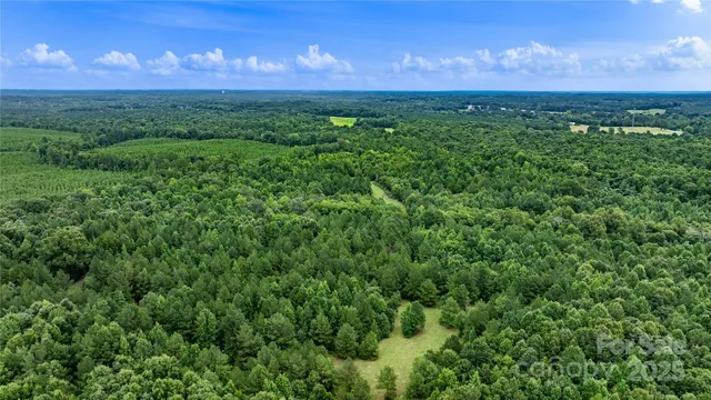 a view of an lush green mountain