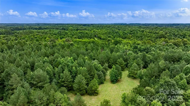 a view of a yard in a yard