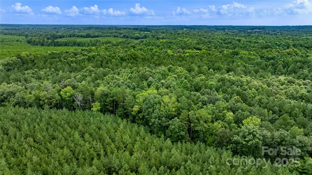 a view of a lush green outdoor space with a lake view