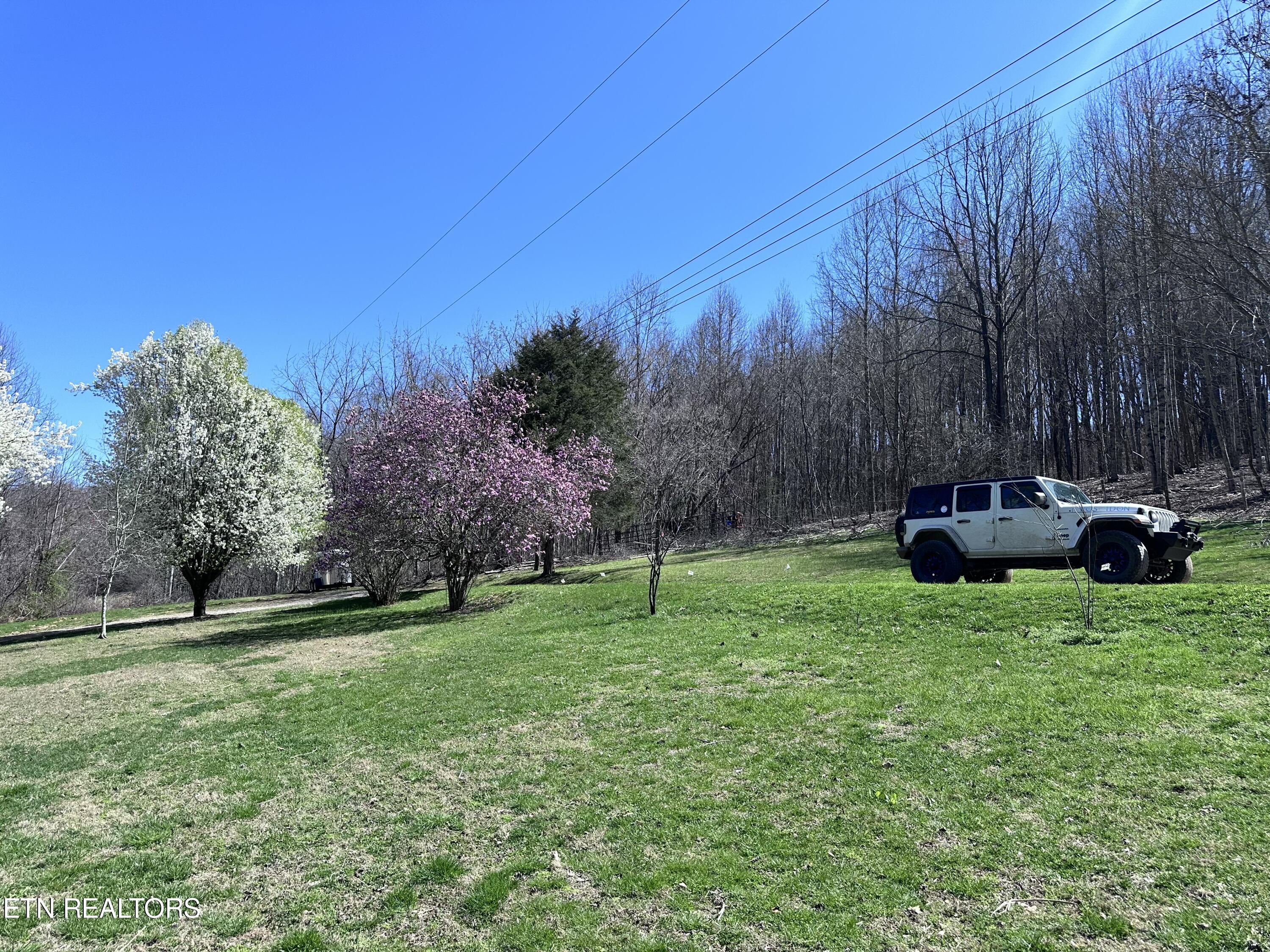 1365 Rackum Road Thorn Hill, TN 37881 - Photo 49 of 59 IMG_1642