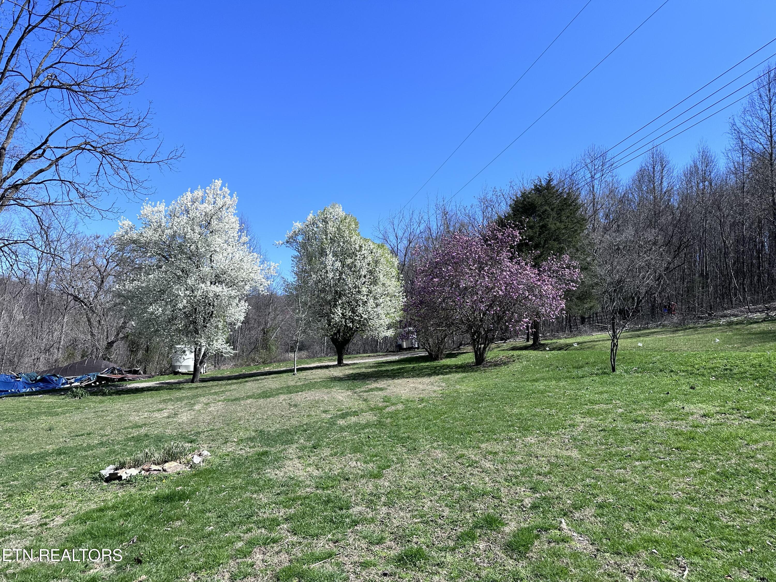 1365 Rackum Road Thorn Hill, TN 37881 - Photo 50 of 59 IMG_1643