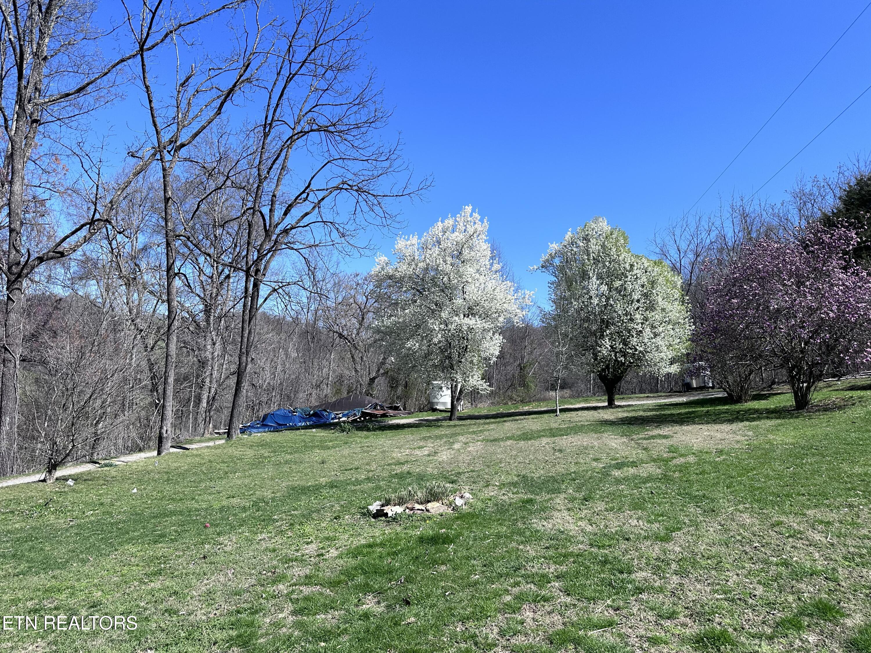 1365 Rackum Road Thorn Hill, TN 37881 - Photo 51 of 59 IMG_1644
