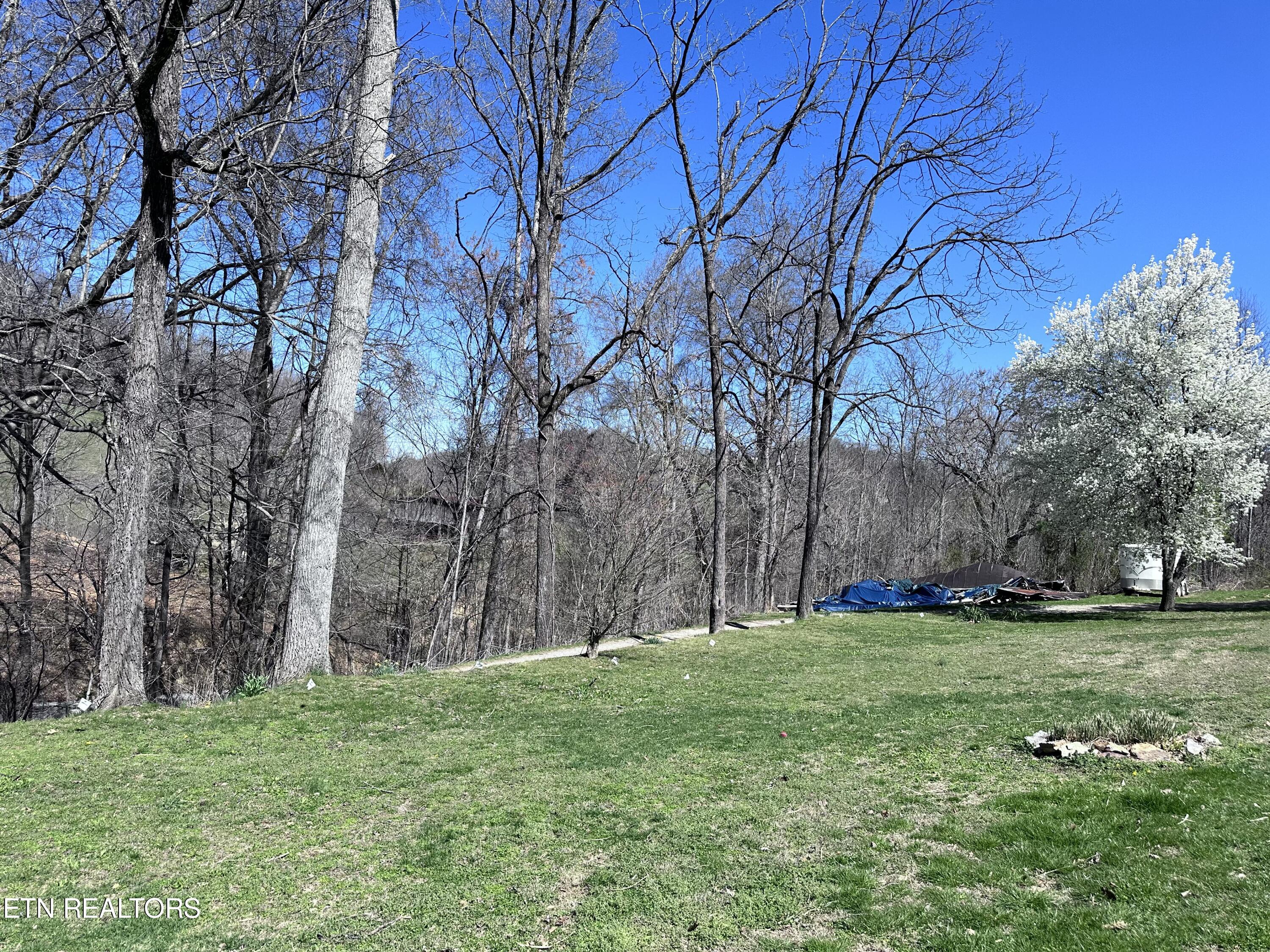 1365 Rackum Road Thorn Hill, TN 37881 - Photo 52 of 59 IMG_1645