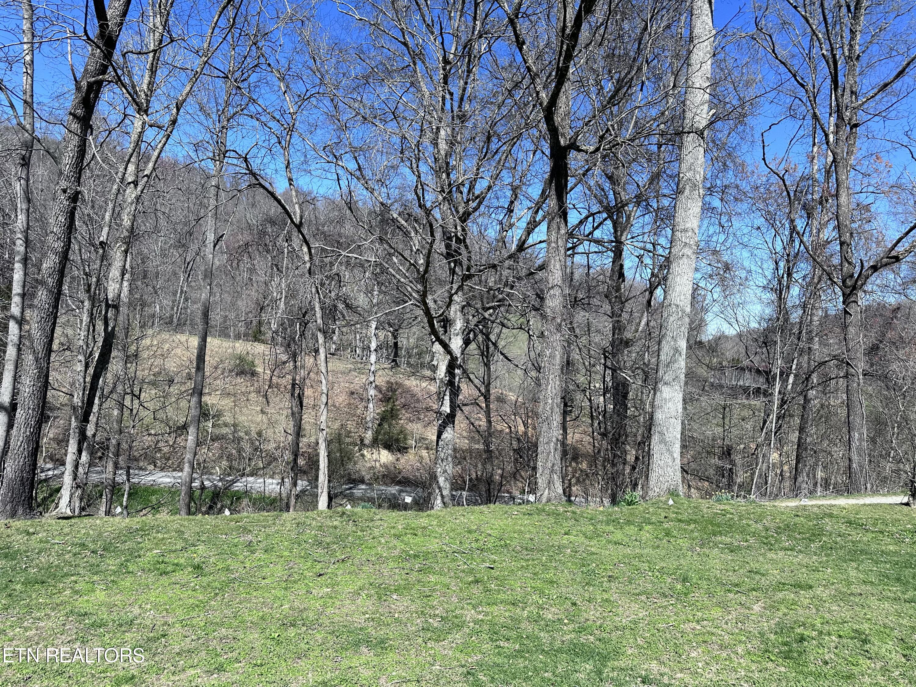 1365 Rackum Road Thorn Hill, TN 37881 - Photo 53 of 59 IMG_1646