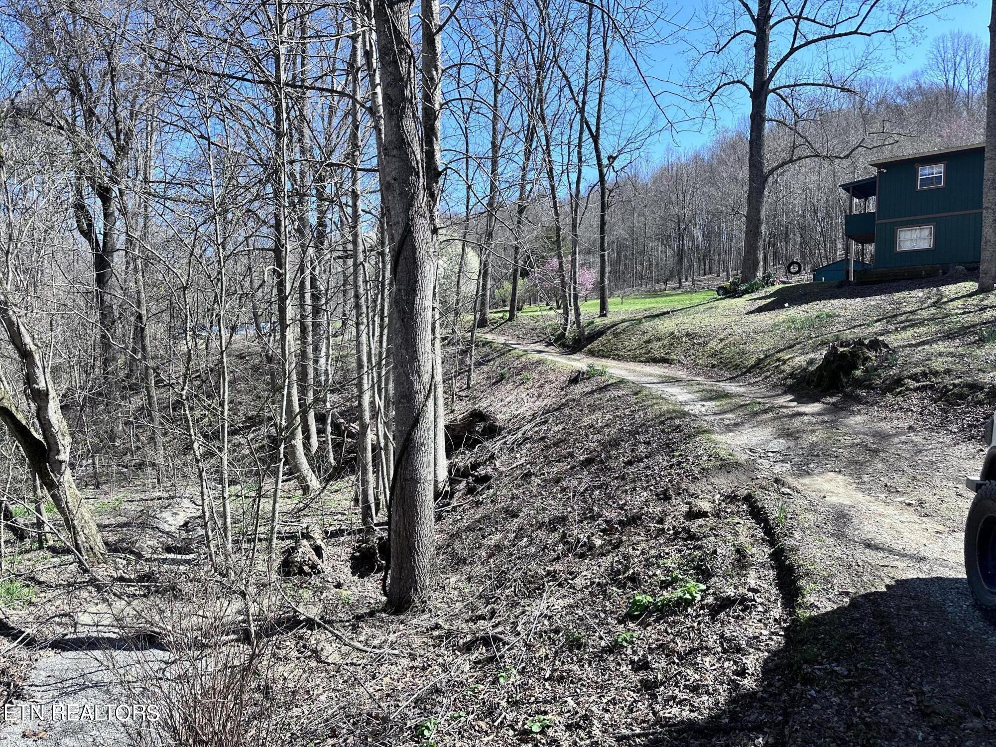 1365 Rackum Road Thorn Hill, TN 37881 - Photo 54 of 59 IMG_1653