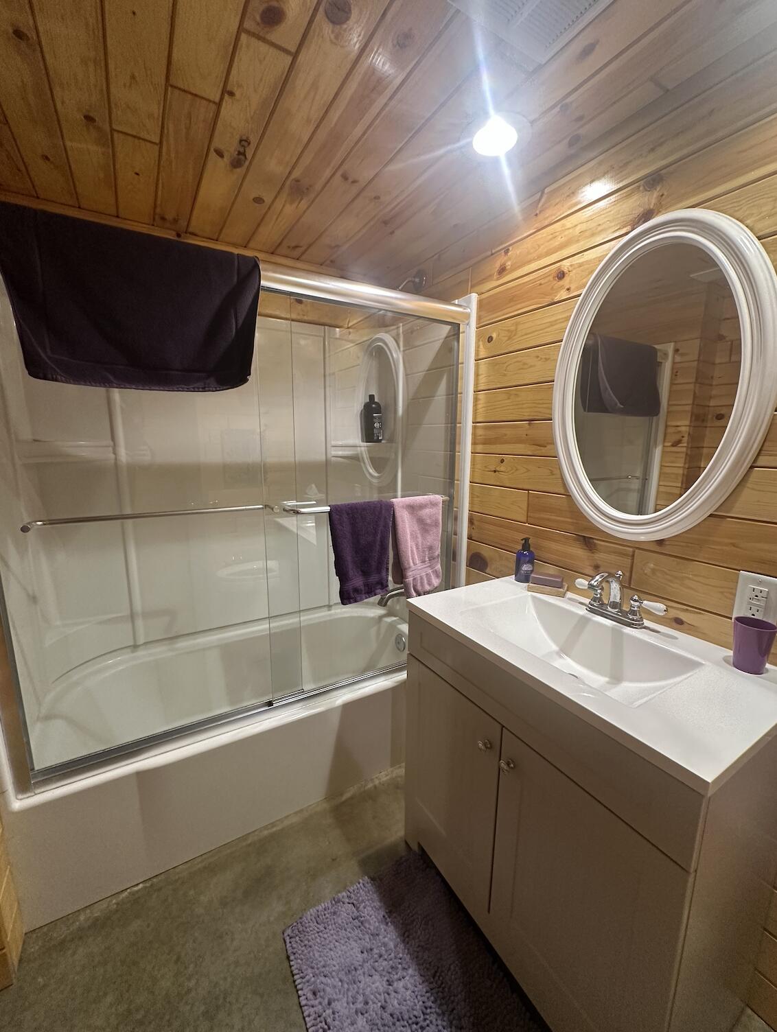 1254 Burbank Road Quincy, MI 49082 - Photo 31 of 48 Downstairs Bath