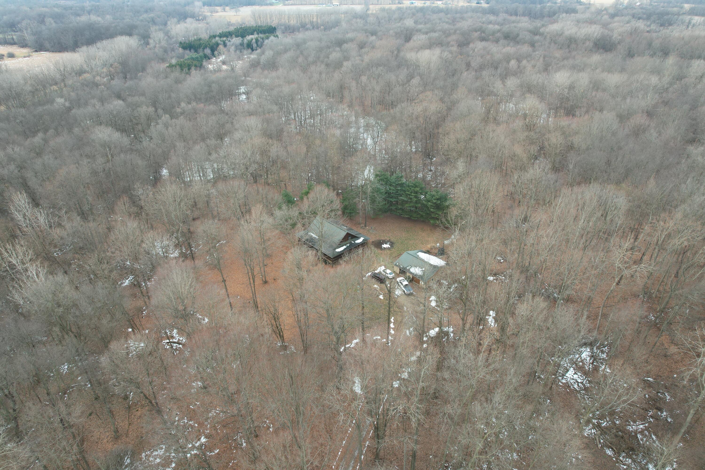 1254 Burbank Road Quincy, MI 49082 - Photo 33 of 48 DJI_0281