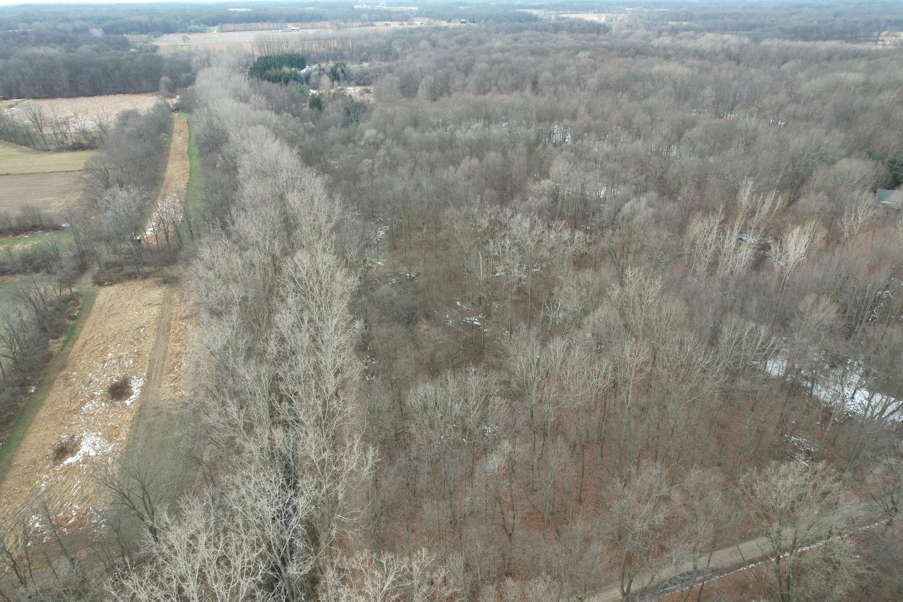 1254 Burbank Road Quincy, MI 49082 - Photo 34 of 48 DJI_0282