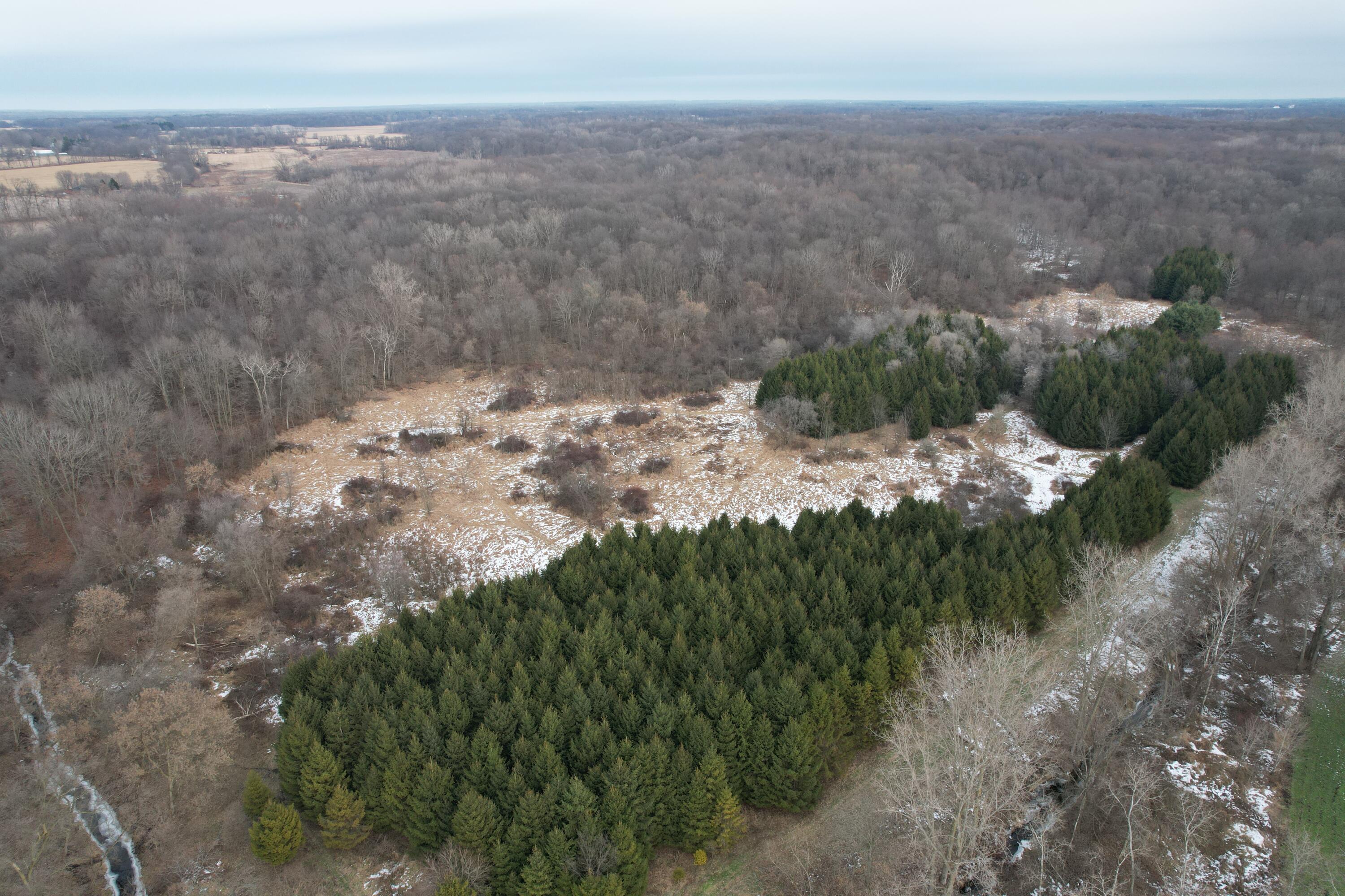 1254 Burbank Road Quincy, MI 49082 - Photo 35 of 48 DJI_0284