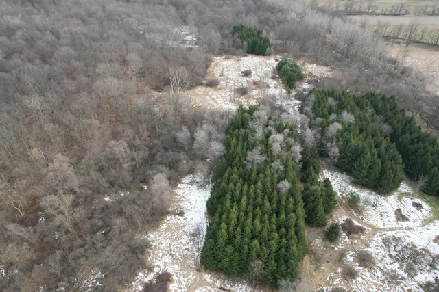 $994,000 | 1254 Burbank Road, Quincy, MI 49082