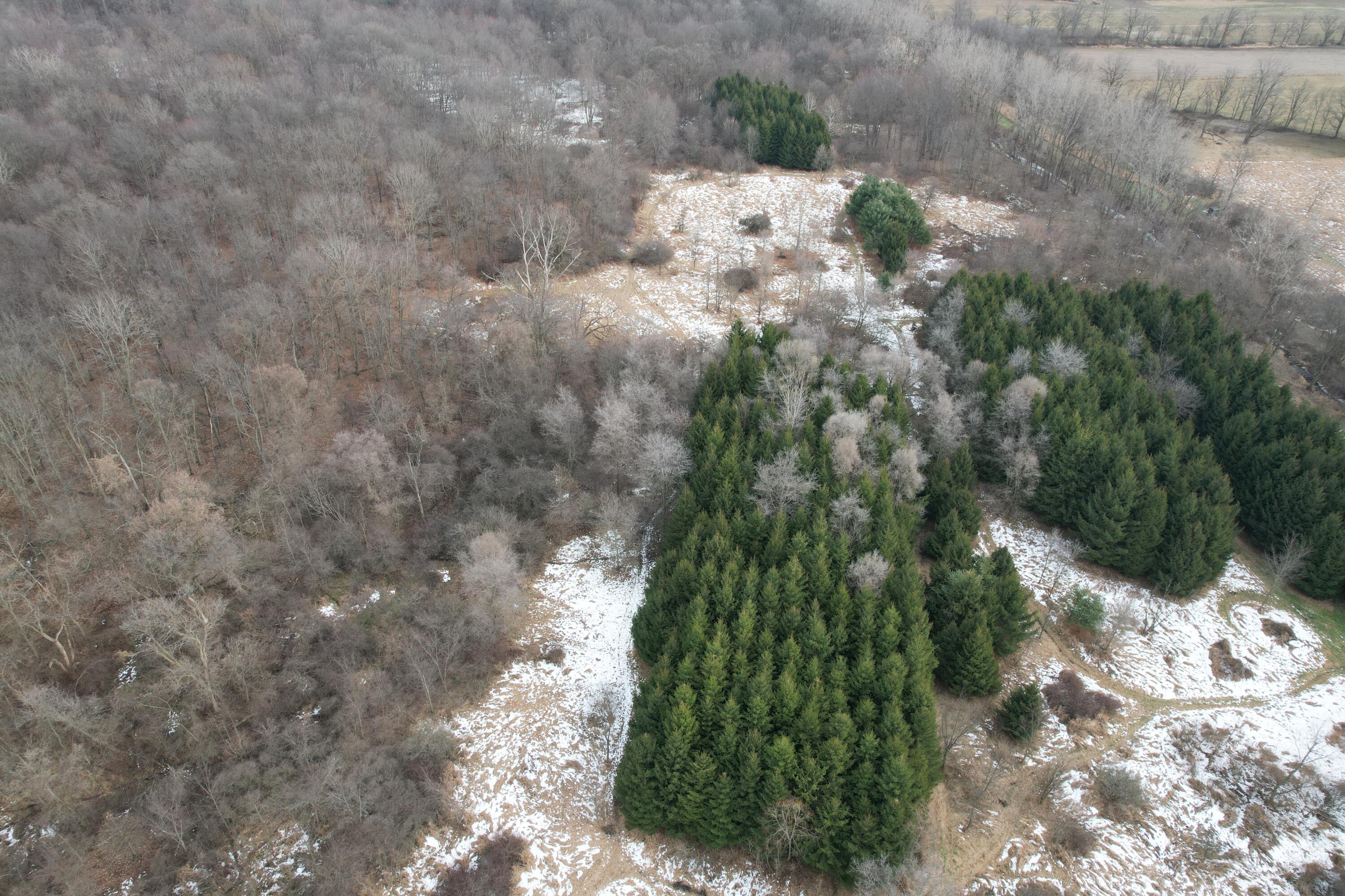 1254 Burbank Road Quincy, MI 49082 - Photo 36 of 48 DJI_0287