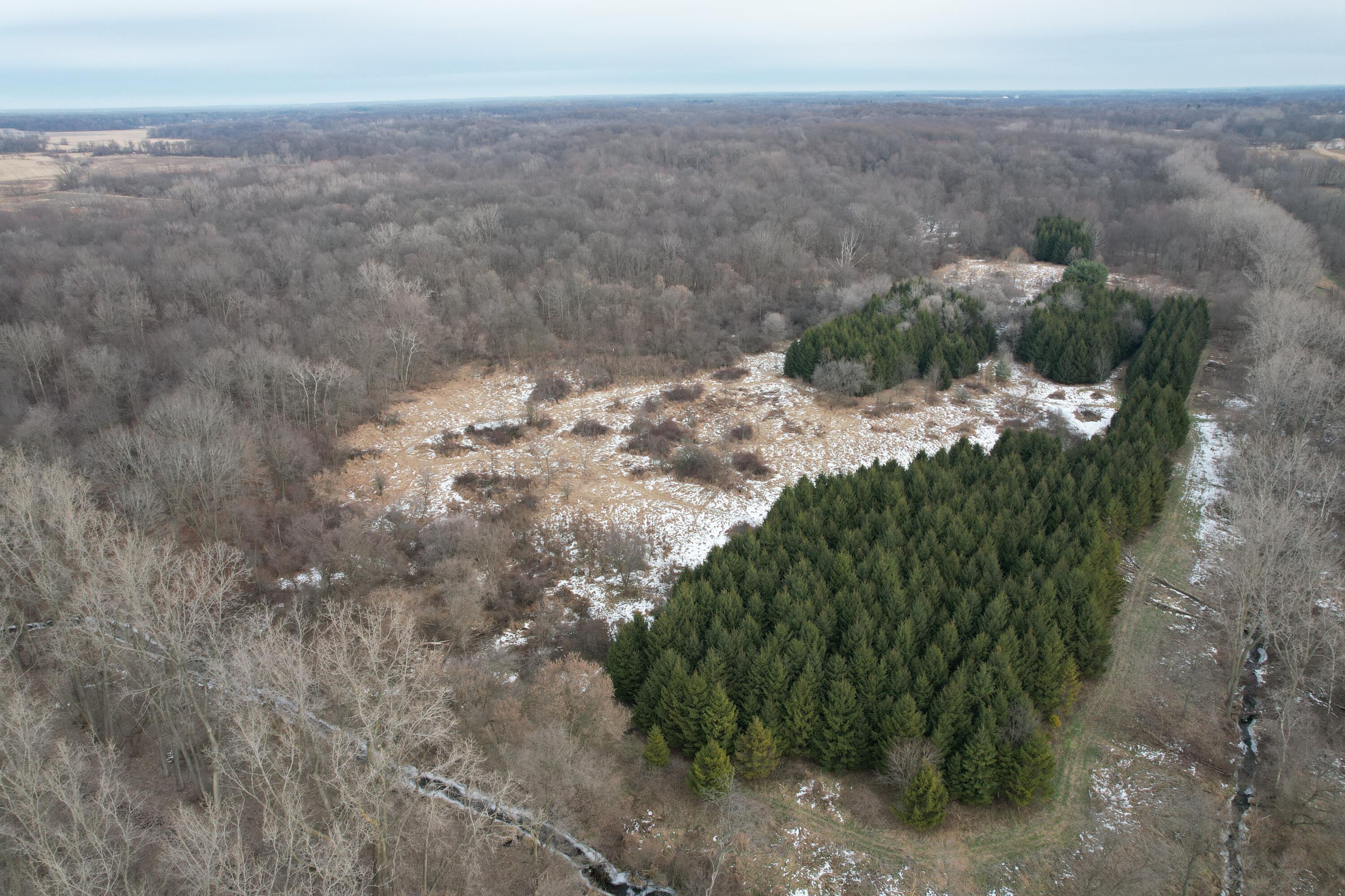 1254 Burbank Road Quincy, MI 49082 - Photo 37 of 48 DJI_0285