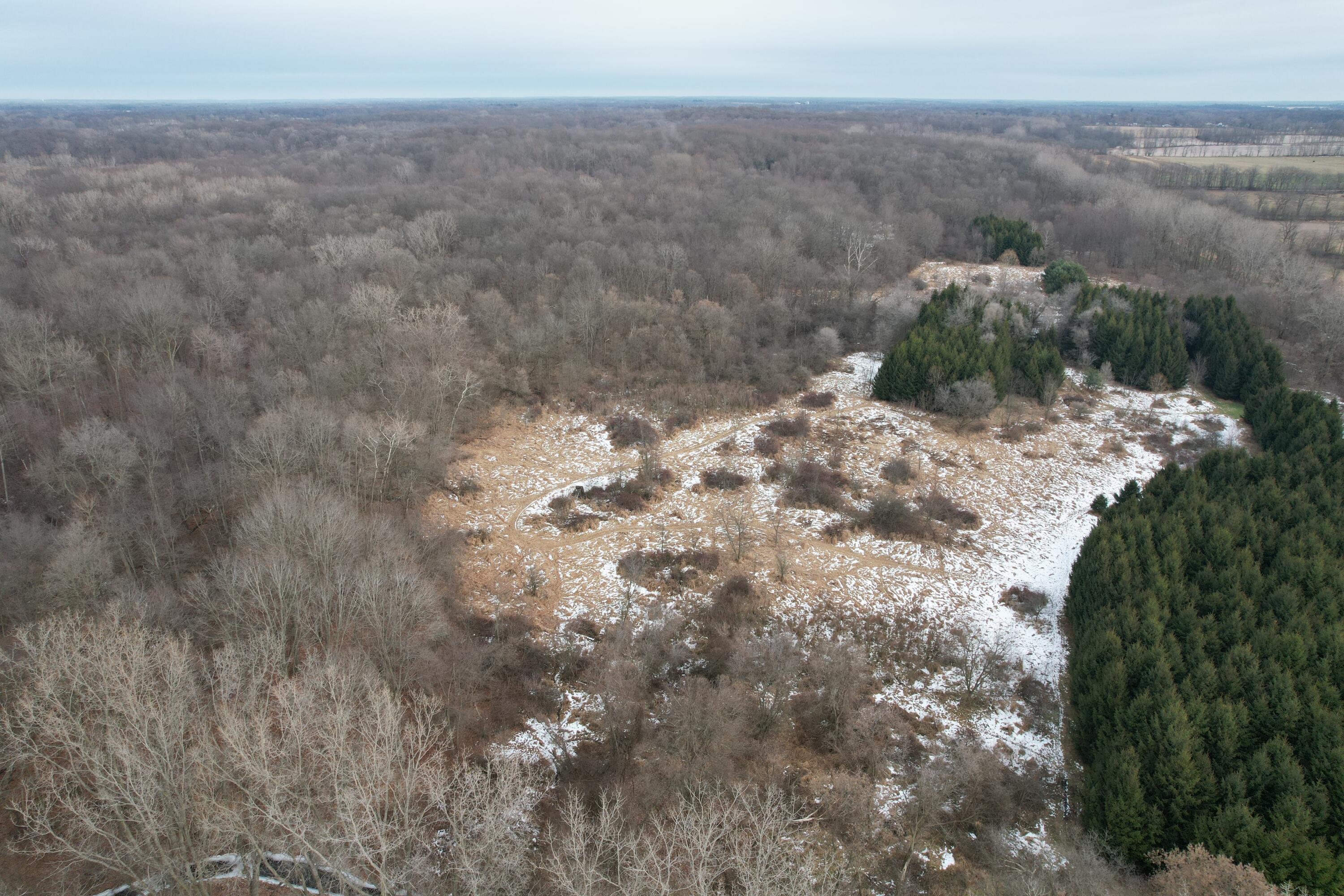 1254 Burbank Road Quincy, MI 49082 - Photo 38 of 48 DJI_0286