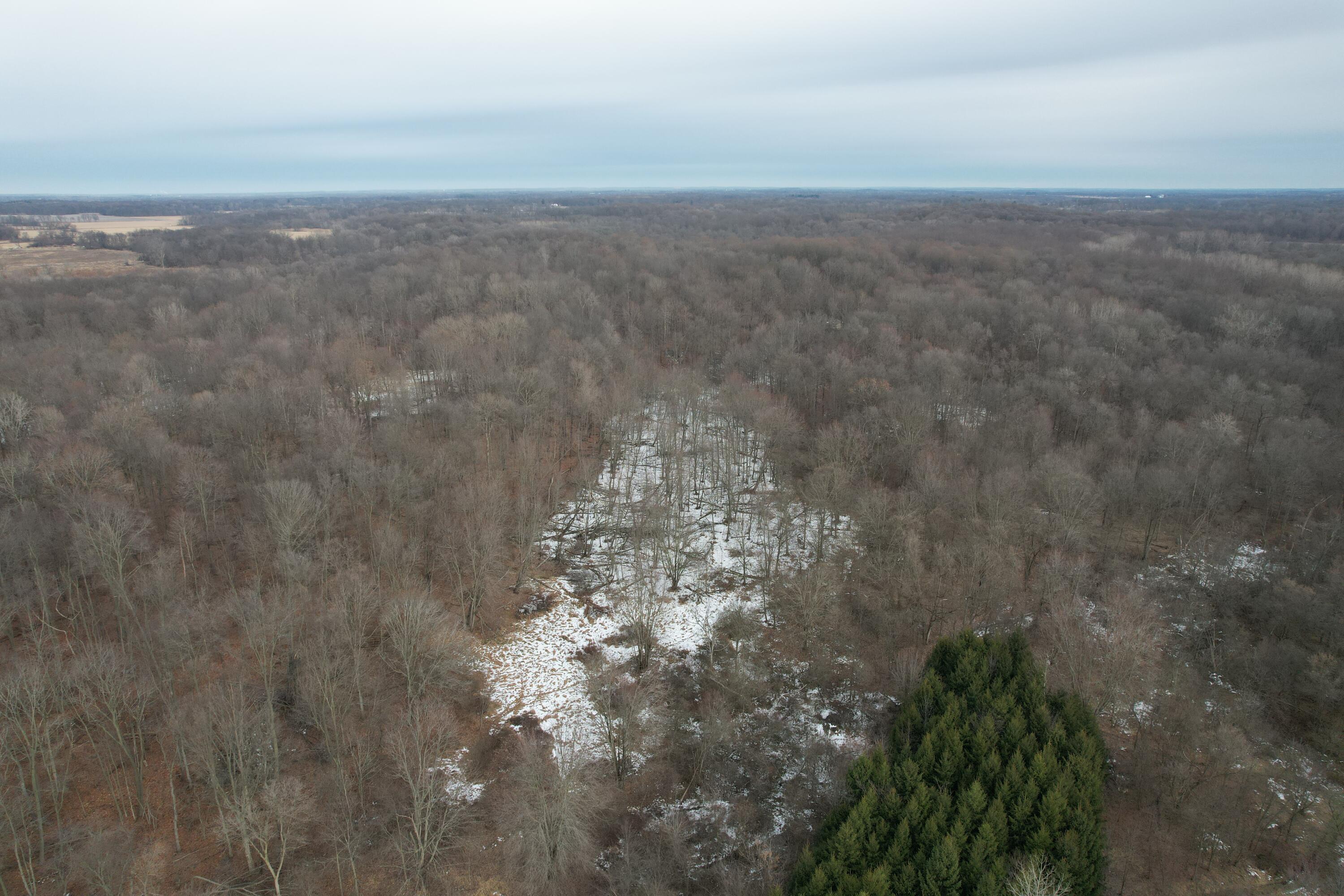 1254 Burbank Road Quincy, MI 49082 - Photo 39 of 48 DJI_0289