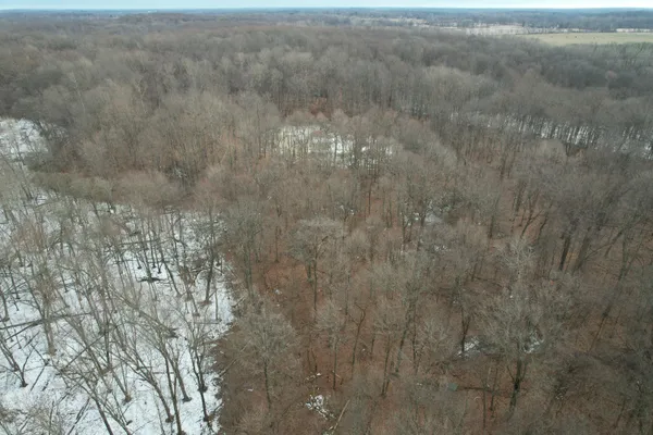 $994,000 | 1254 Burbank Road, Quincy, MI 49082