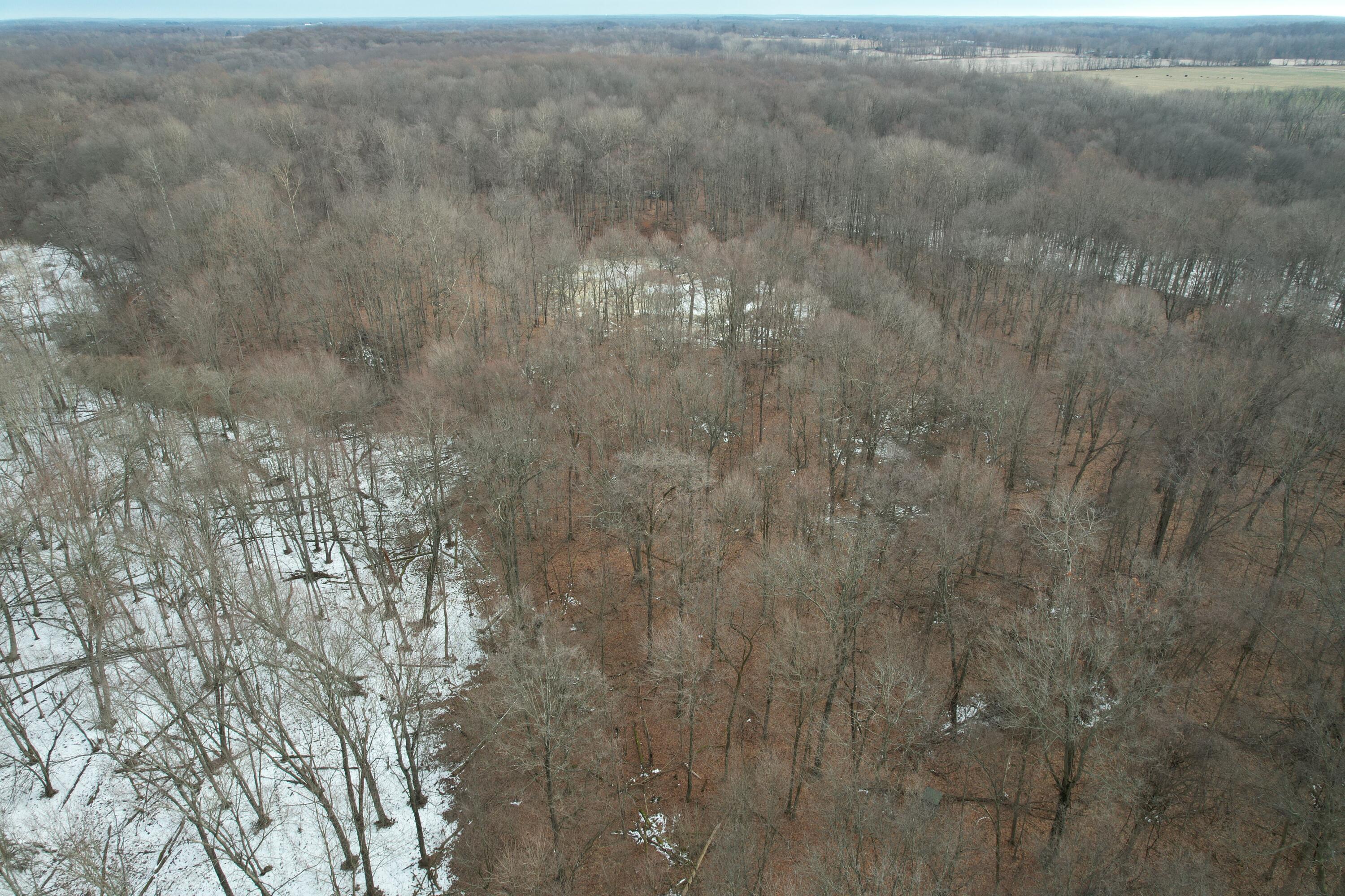 1254 Burbank Road Quincy, MI 49082 - Photo 40 of 48 DJI_0292