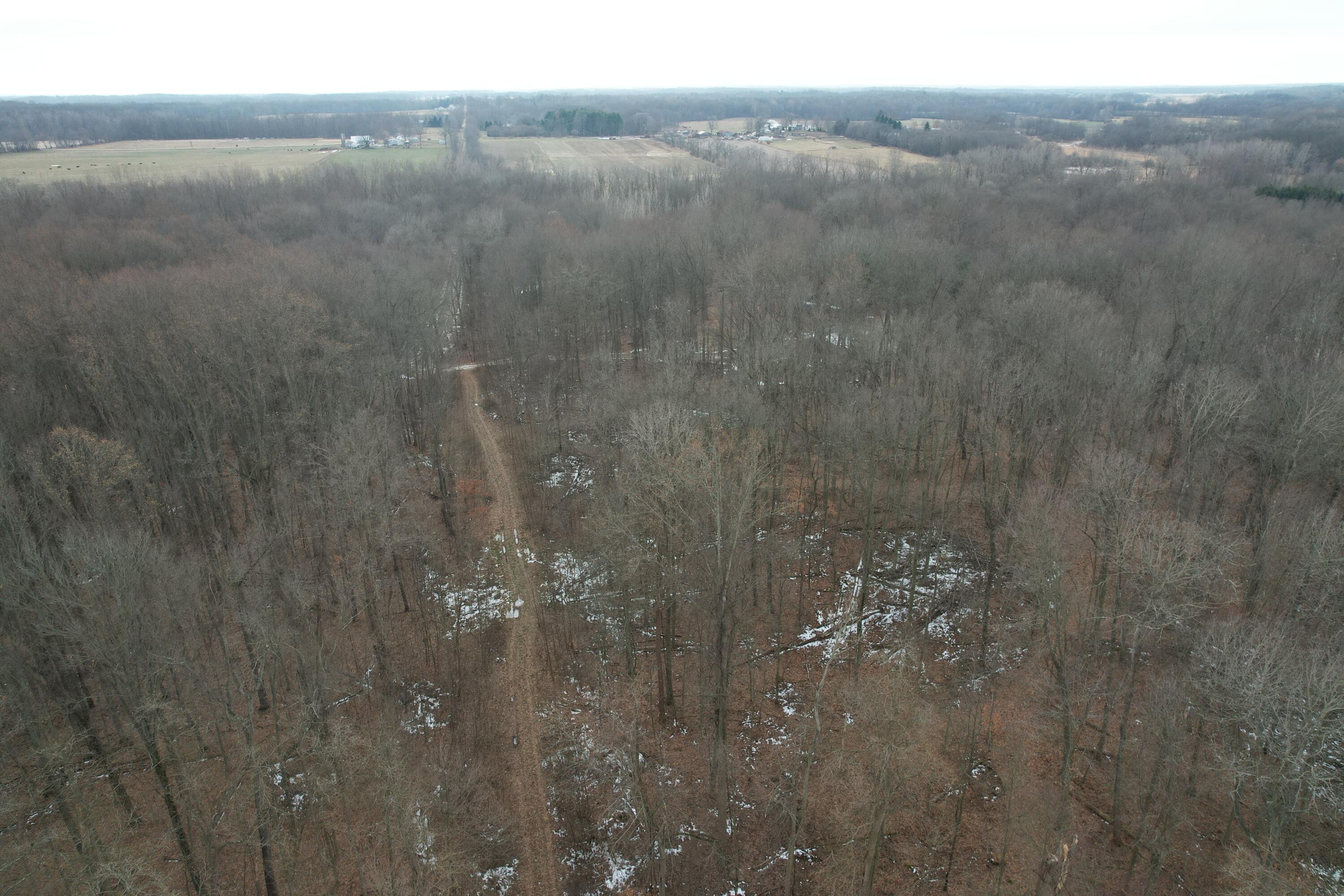 1254 Burbank Road Quincy, MI 49082 - Photo 41 of 48 DJI_0278