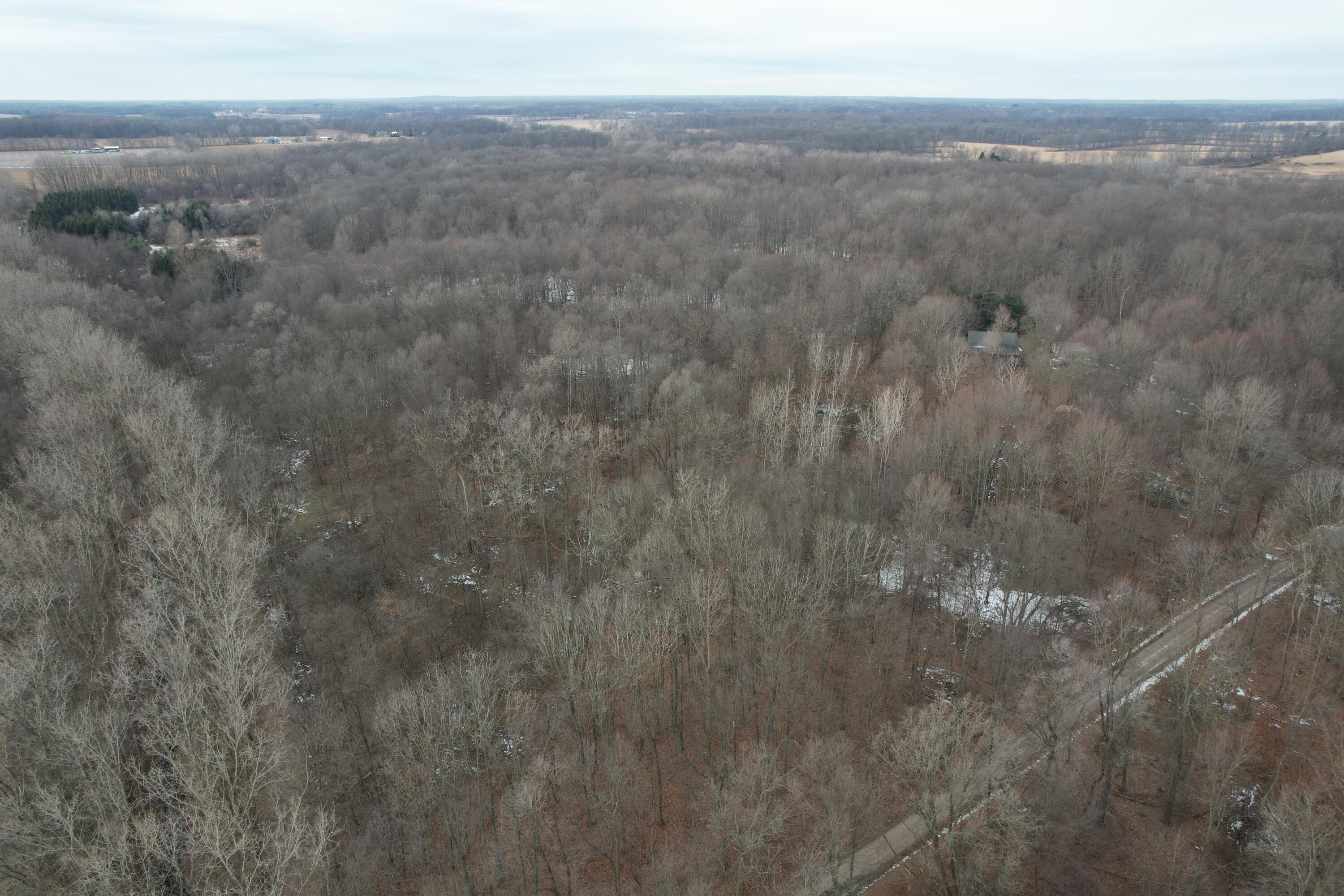 1254 Burbank Road Quincy, MI 49082 - Photo 42 of 48 DJI_0283