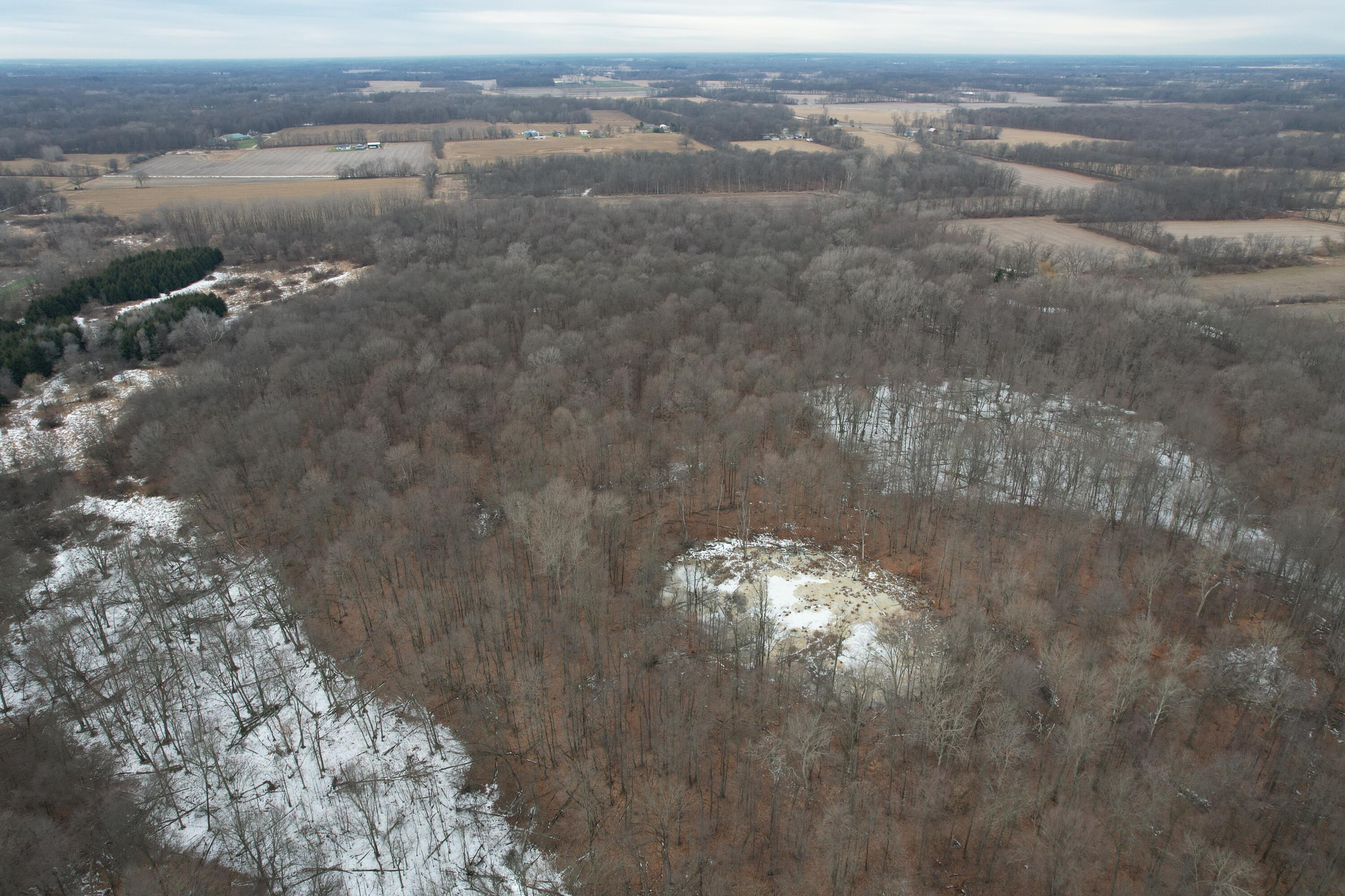 1254 Burbank Road Quincy, MI 49082 - Photo 43 of 48 DJI_0310