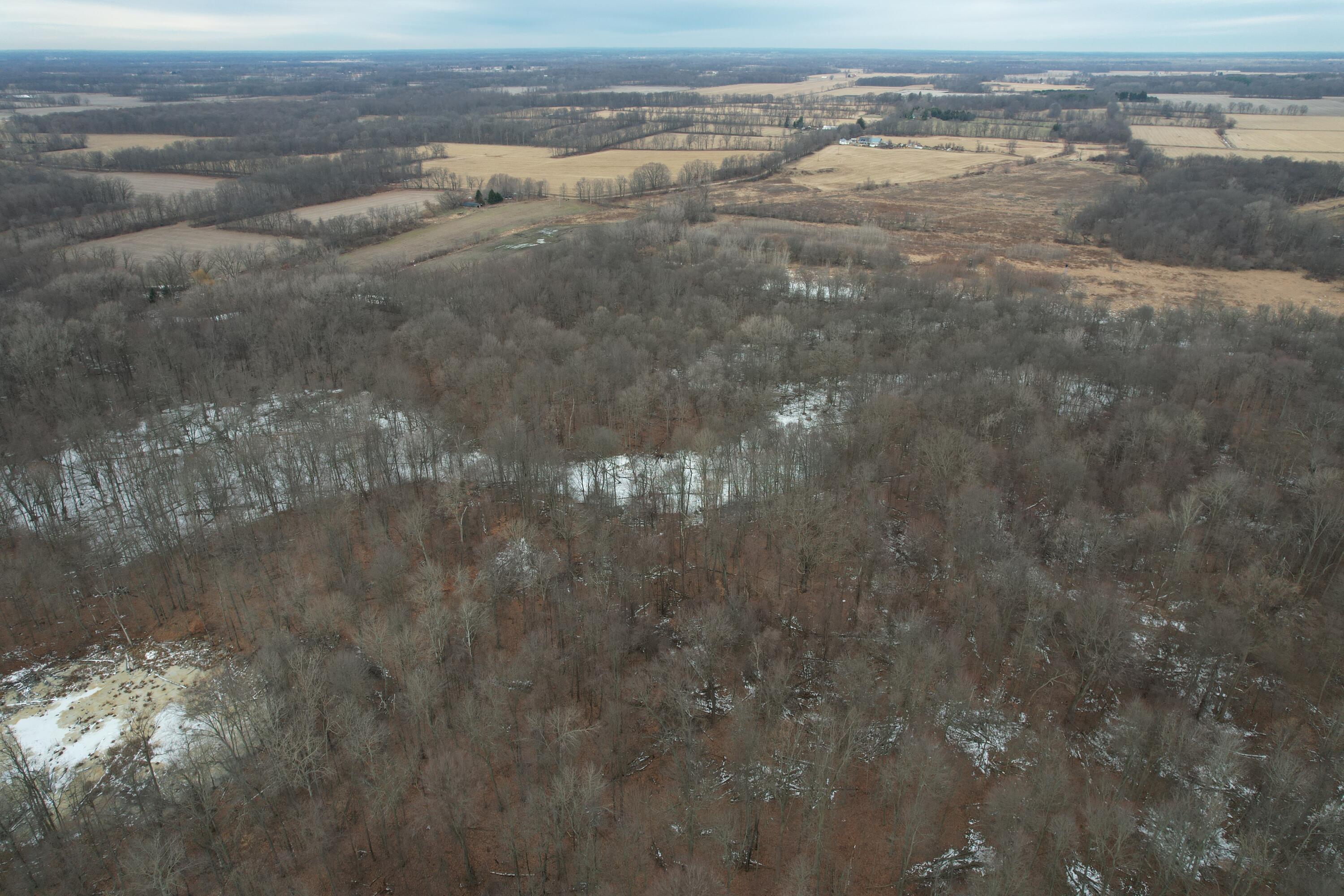 1254 Burbank Road Quincy, MI 49082 - Photo 44 of 48 DJI_0311