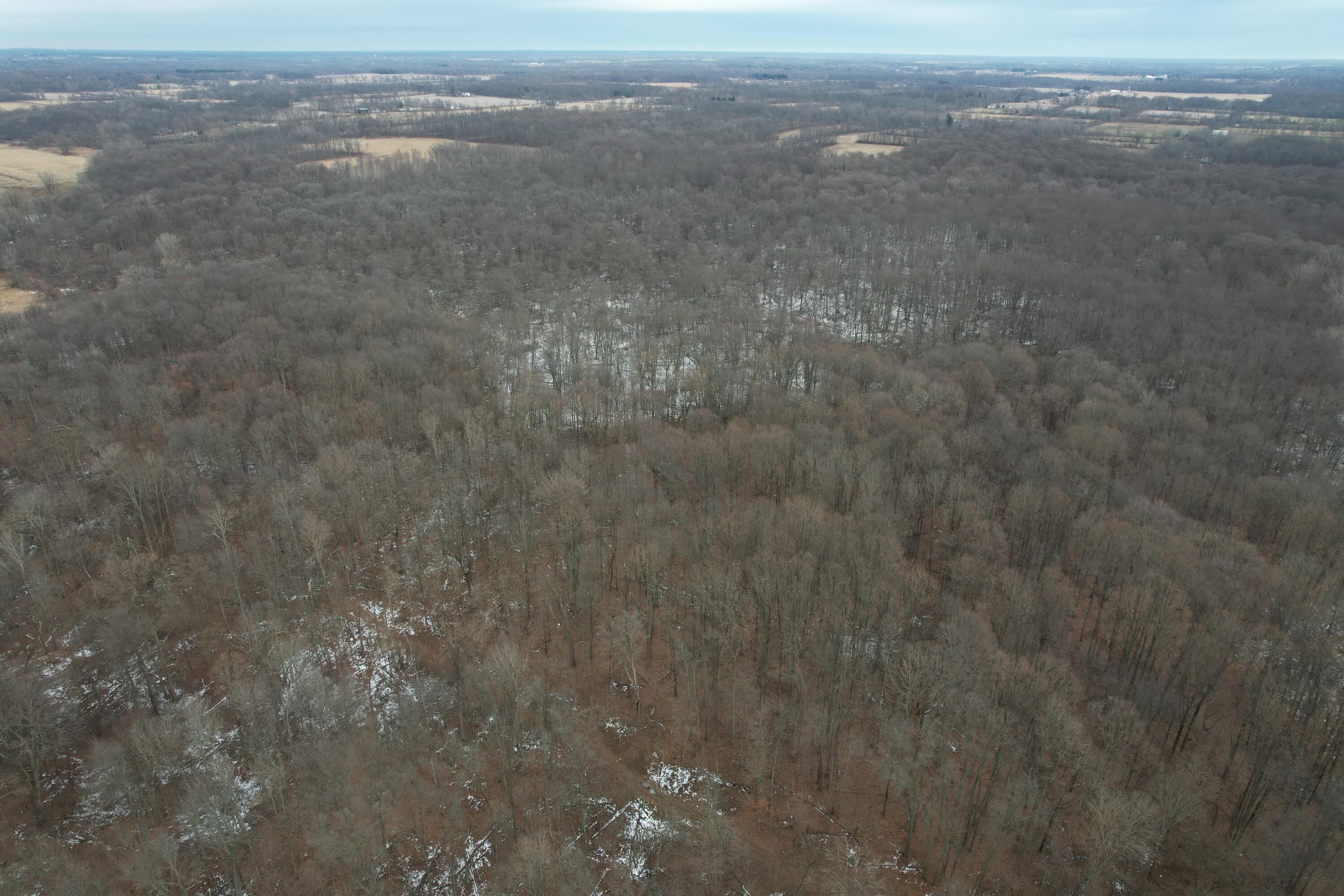 1254 Burbank Road Quincy, MI 49082 - Photo 45 of 48 DJI_0312