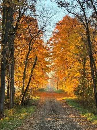 $994,000 | 1254 Burbank Road, Quincy, MI 49082