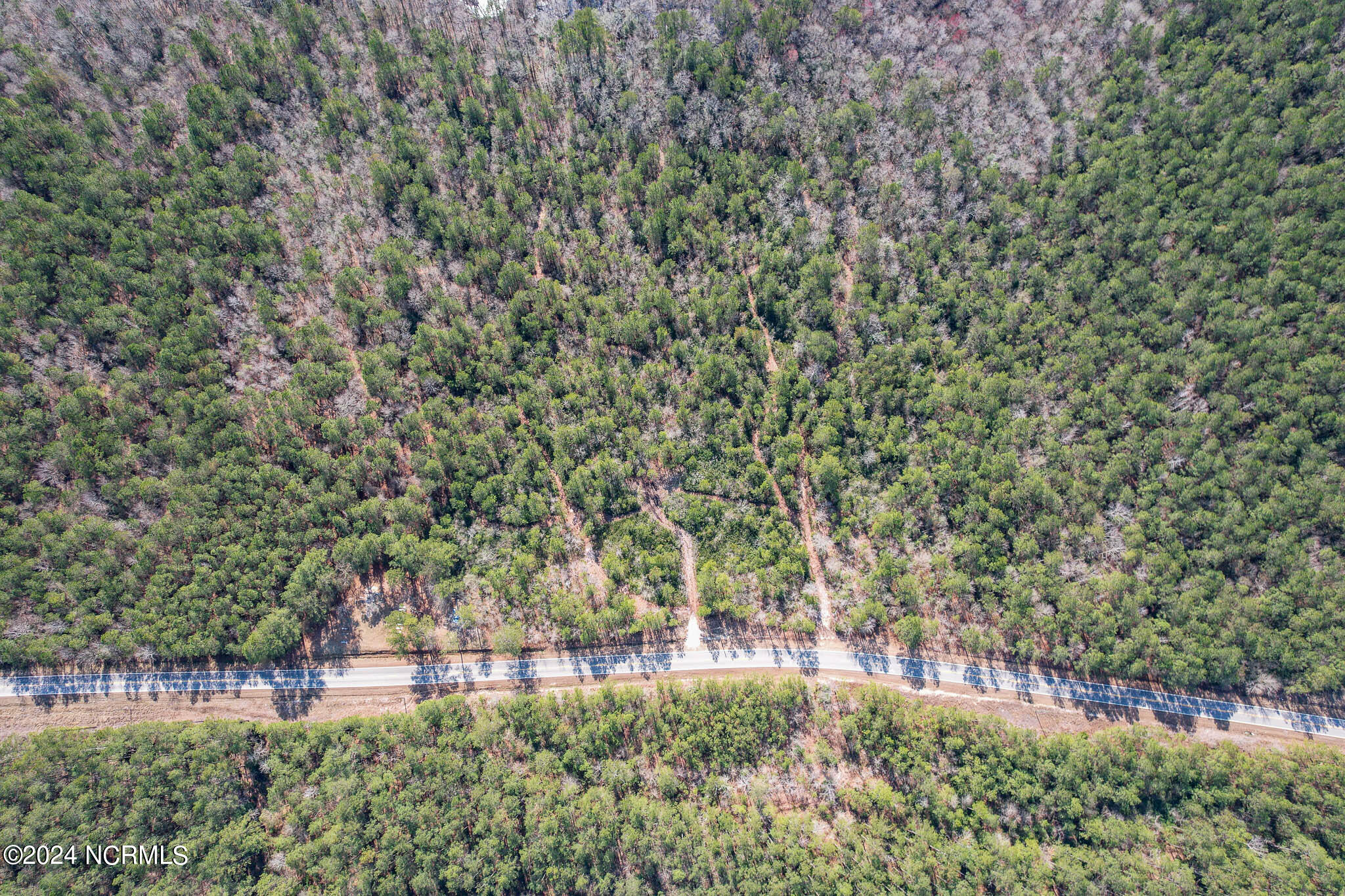 Beautiful Wooded Property