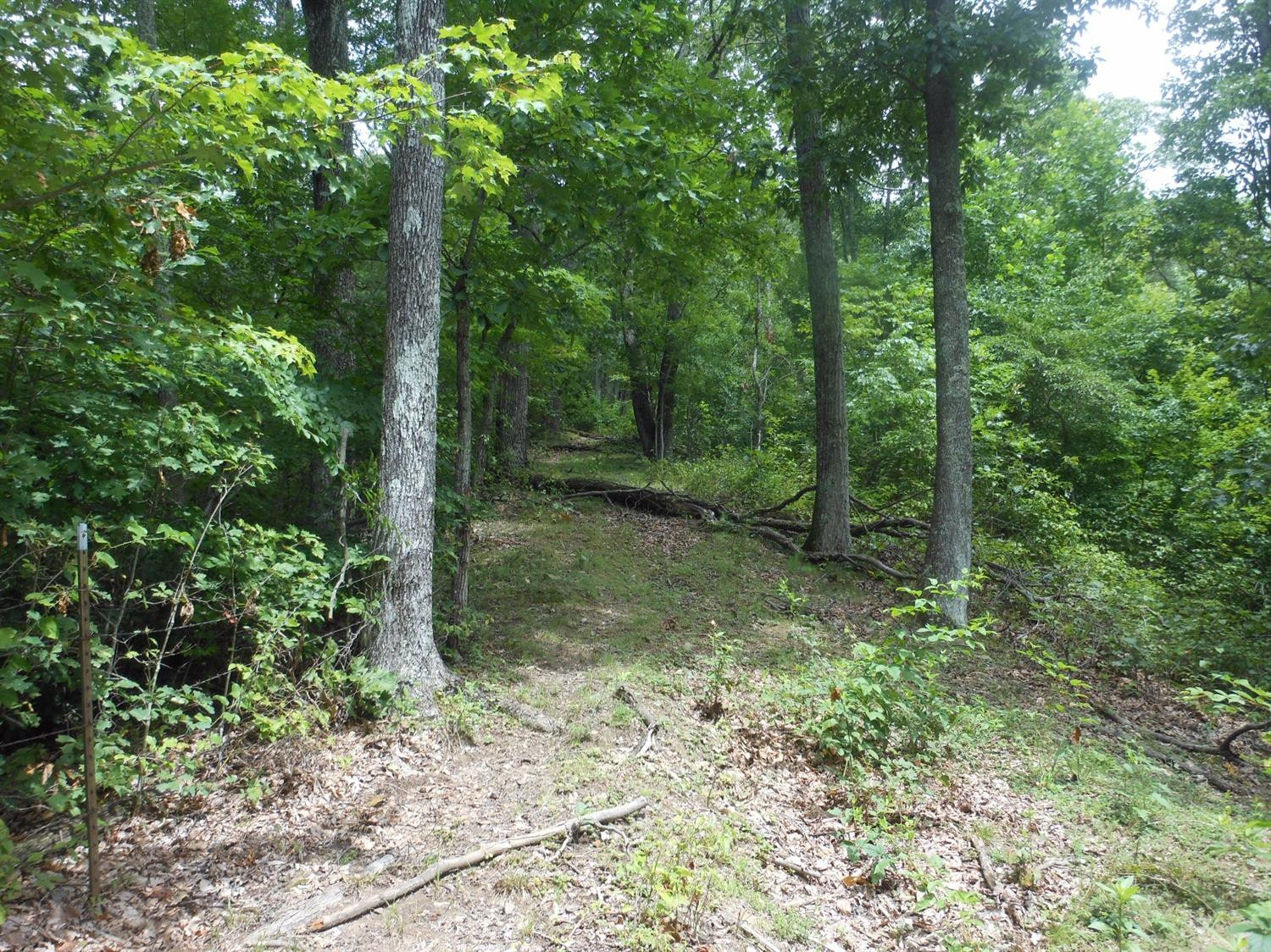 999 Elmer Henry Road Means, KY 40346 - Photo 23 of 39 Photo 23