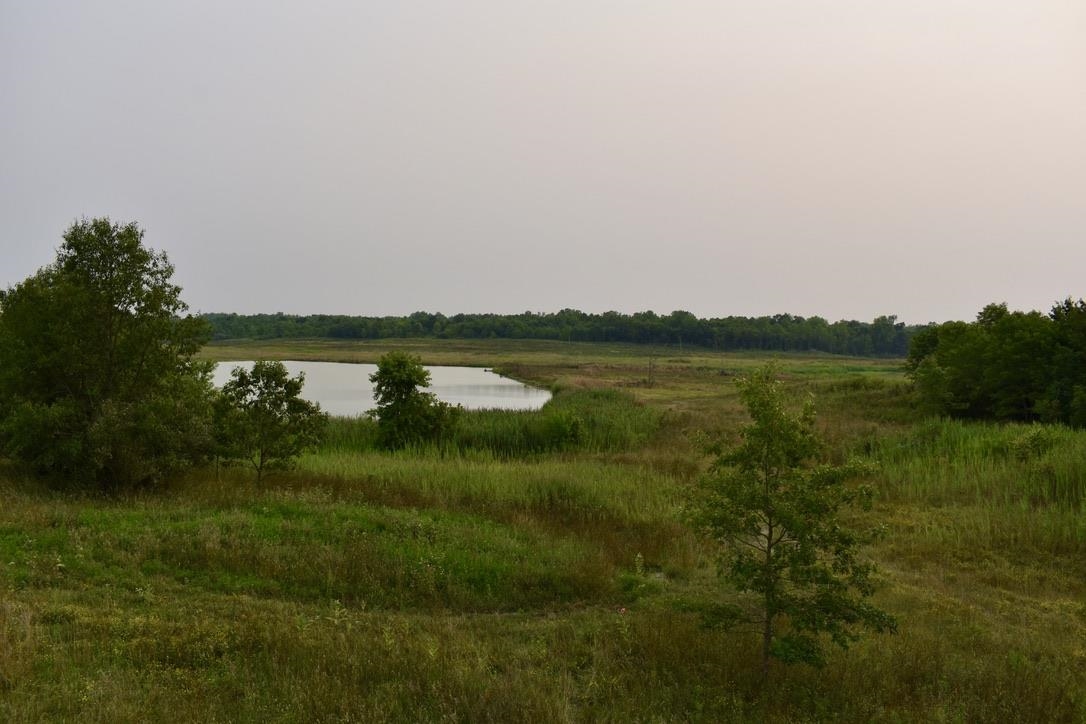 0 Schultz Road Elberfeld, IN 47613 - Photo 1 of 17