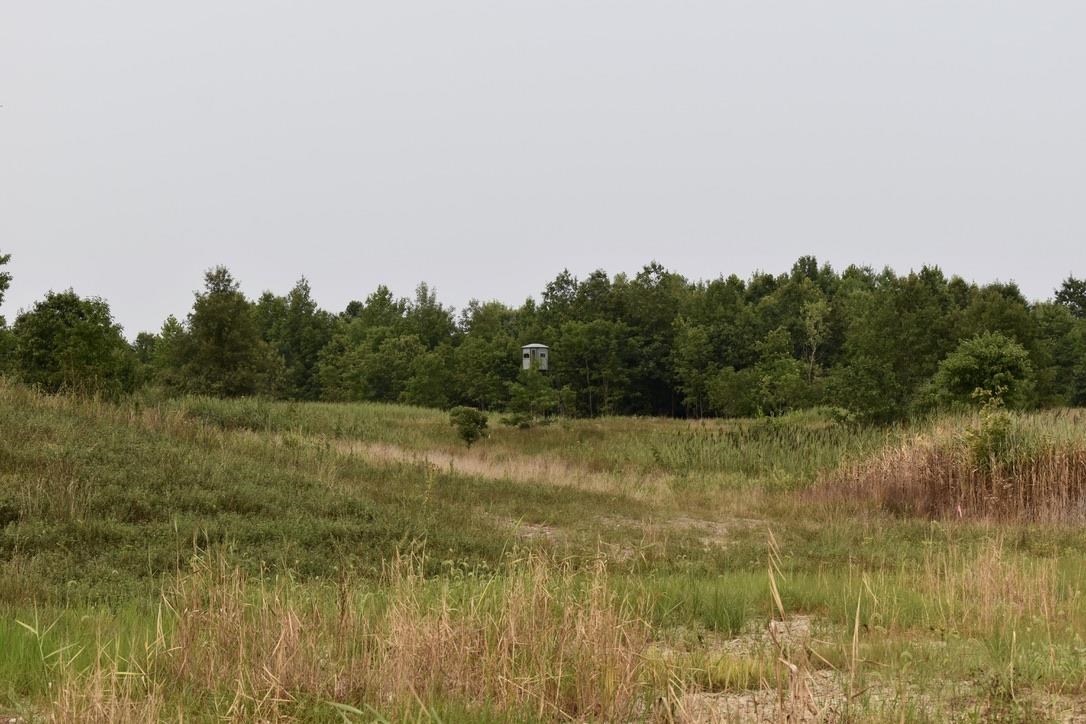 0 Schultz Road Elberfeld, IN 47613 - Photo 11 of 17