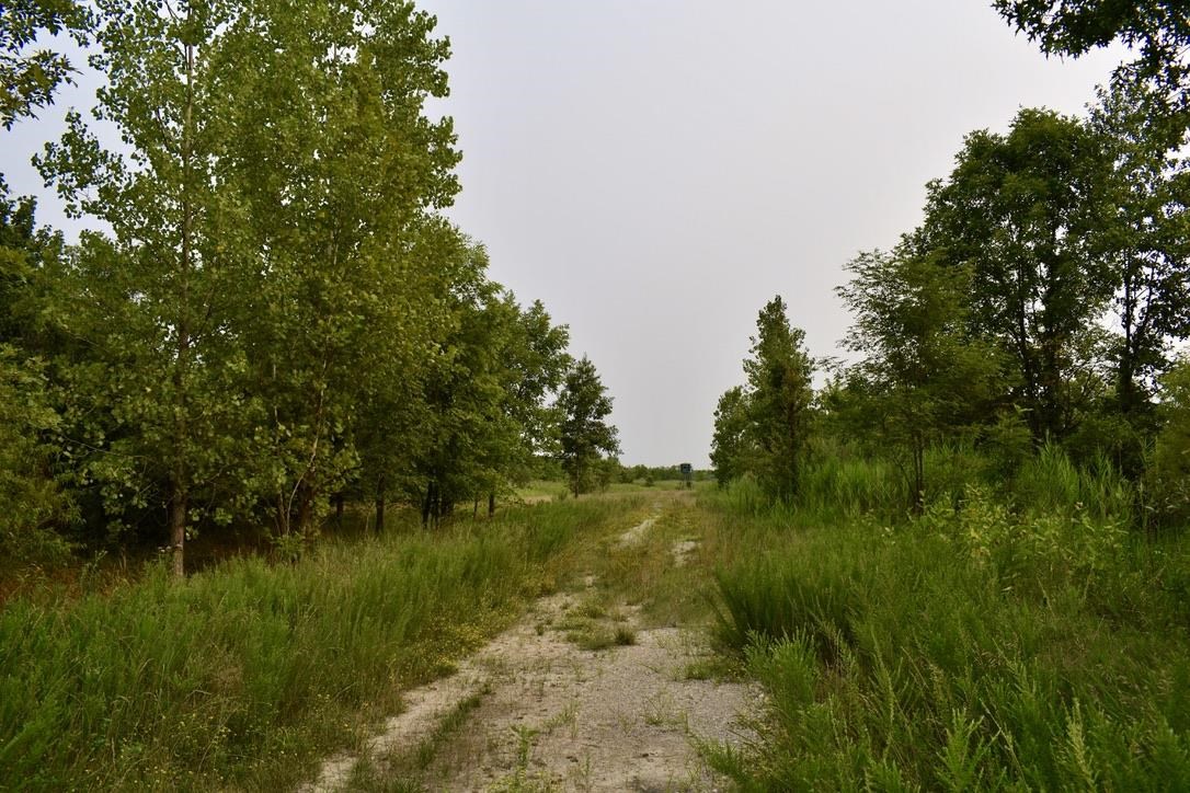 0 Schultz Road Elberfeld, IN 47613 - Photo 12 of 17