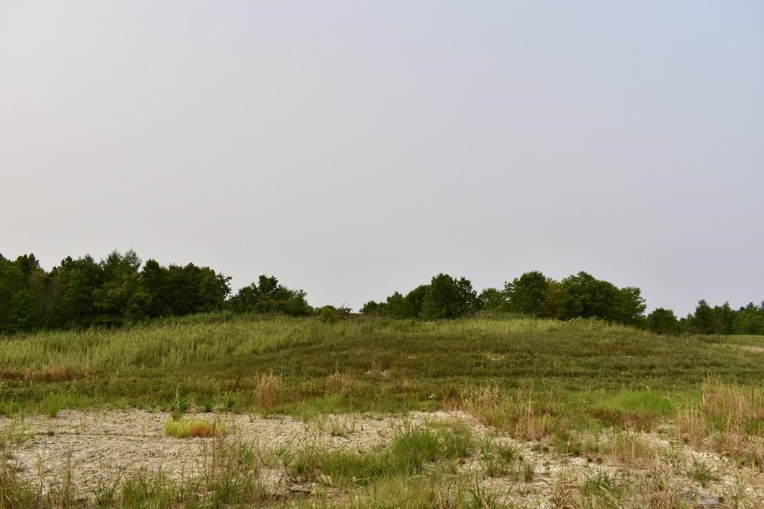 0 Schultz Road Elberfeld, IN 47613 - Photo 14 of 17