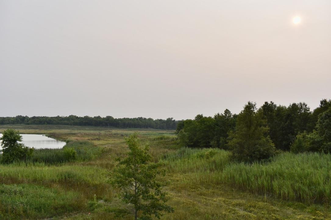 0 Schultz Road Elberfeld, IN 47613 - Photo 16 of 17