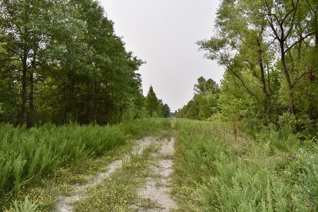 0 Schultz Road Elberfeld, IN 47613 - Photo 17 of 17